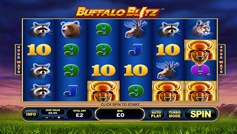 Buffalo Blitz Main