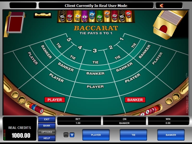 winner casino flash winner casino flash
