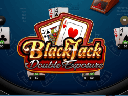 Blackjack King - Free Play & No Download