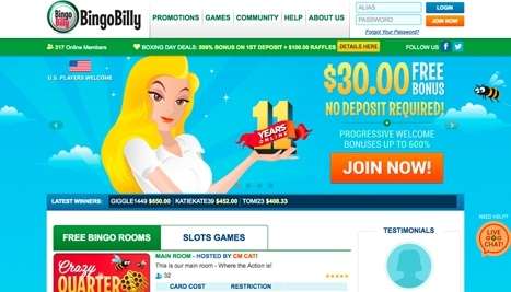 Bingo Billy Screenshot
