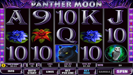 Panther Moon Main