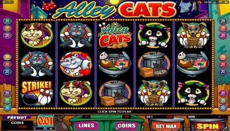 Alley Cats Slot at Platinum Play