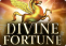 Divine Fortune