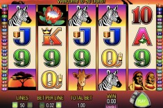 Select your Bet