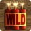Dynamite (wild)