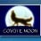 Coyote (Wild)