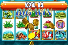 Win Goldfish Slot