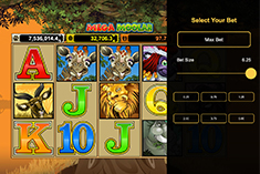 Select your Bet