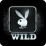 Playboy bunny logo