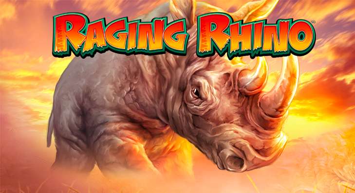 Raging Rhino