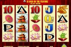 Select your Bet