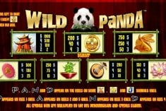 Win a Jackpot