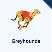Greyhounds betting