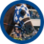 Secretariat