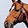 Affirmed