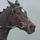 Altior