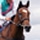 Enable